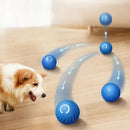 Bola Mágica Interativa para Pets - Brinquedinho Super Divertido para o seu Animalzinho