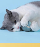 Bola Mágica Interativa para Pets - Brinquedinho Super Divertido para o seu Animalzinho