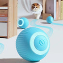 Bola Mágica Interativa para Pets - Brinquedinho Super Divertido para o seu Animalzinho