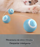 Bola Mágica Interativa para Pets - Brinquedinho Super Divertido para o seu Animalzinho